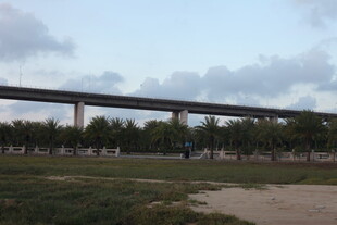 郊外高架桥与开阔草地景观