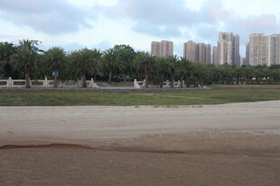 城市边的开阔绿地景观