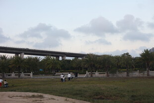 城郊公路旁的开阔风景