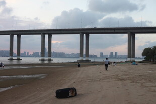 海滨大桥下的静谧沙滩