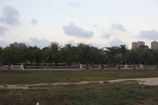 城郊开阔地风景