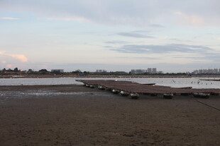 黄昏下的宁静码头景象