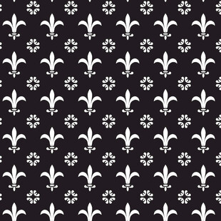 黑白鸢尾花图案纹理