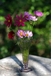 花瓶中的多彩花卉