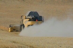 田野中作业的黄色 割机