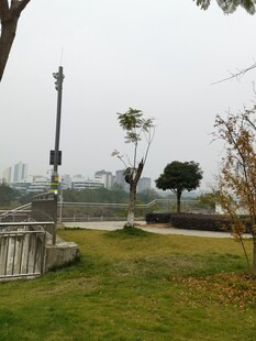 城市公园中的宁静景致