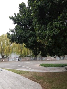 公园中的绿树与开阔道路