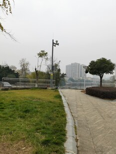 城市公园中的宁静步道