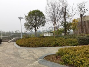 城市公园景观一角