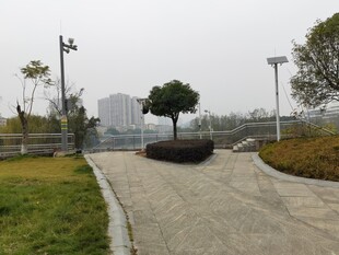 城市公园中的幽静步道