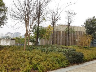城市街边绿植景观