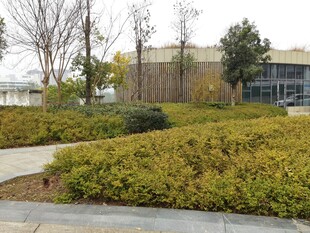 城市绿化带景观