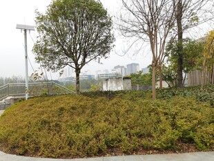 城市绿化带景观
