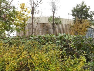 秋日绿植环绕的建筑景观