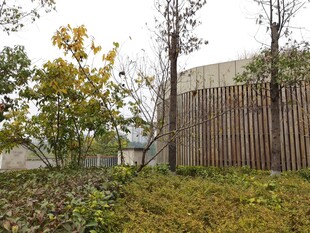 户外木栅栏旁的绿植景观