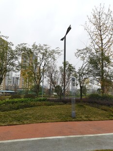 城市公园中的步道与路灯