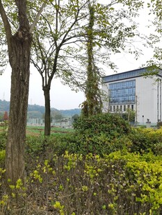 户外自然与建筑景观