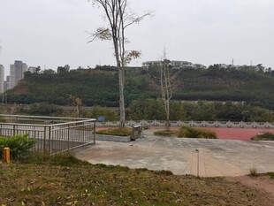 户外空旷场地景观