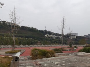 户外开阔场地景观