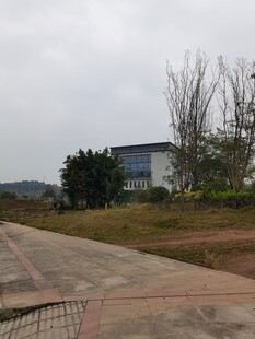 户外空旷场地与建筑物