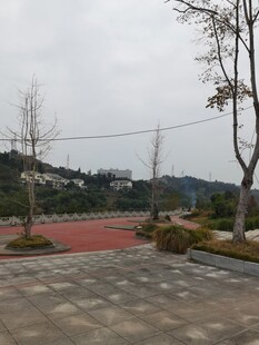 户外校园操场周边景致