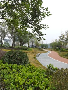 公园蜿蜒小径与绿植景观