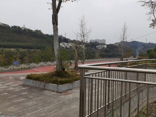 户外休闲广场景致