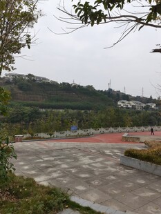 户外开阔的运动场地景观