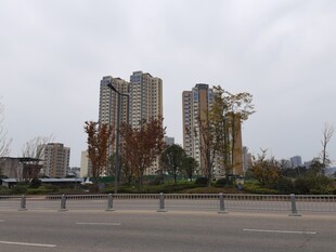 城市中林立的高楼与秋色