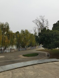 公园景致绿树环绕的广场