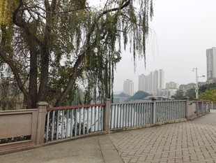 河畔垂柳旁的休闲步道