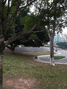 城市公园中的静谧林荫道