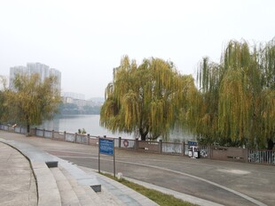 秋日湖边道路风景