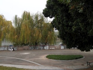 公园湖畔的宁静景致