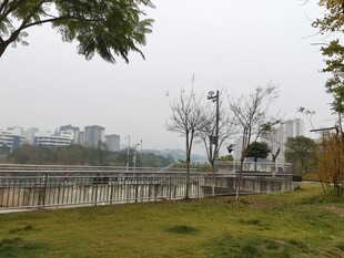 河畔风景静谧自然景致