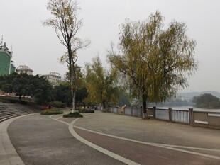 城市河畔的静谧道路风景