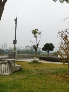 城市公园中的宁静景致