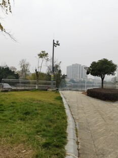 城市中的宁静步道景观