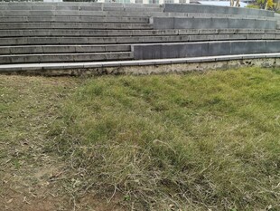 户外草地与阶梯看台场景