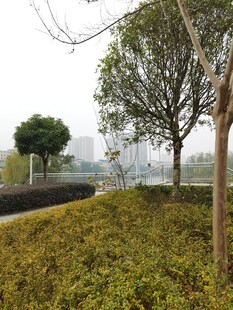 郊外绿意盎然的自然景致