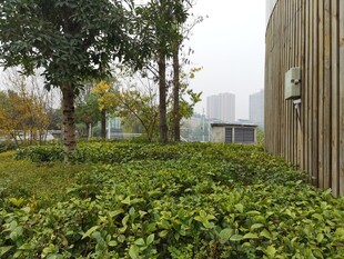 户外绿植环绕的木质建筑