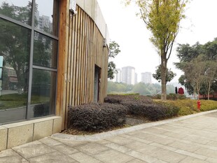 现代建筑旁的户外景观