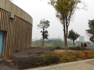 户外建筑旁的绿植景观