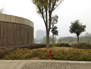 户外景观中的红色消防栓