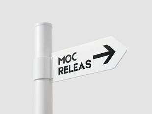 导向牌样机图片