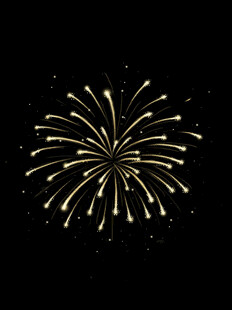 金色烟花绽放于黑夜