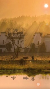 乡村晨曦水乡美景如画