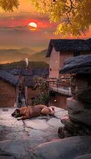 夕阳下的乡村静谧场景