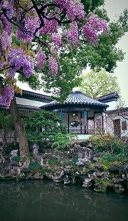 中式园林湖畔繁花美景