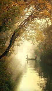 秋日晨雾中的静谧河道